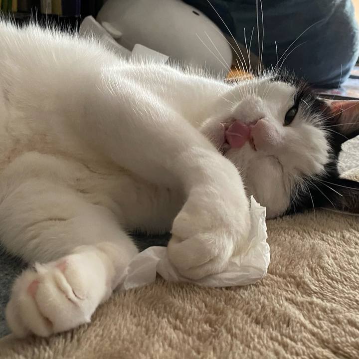 E664d813 712a 427f aed8 471b7b5d2ceb 1669618958263