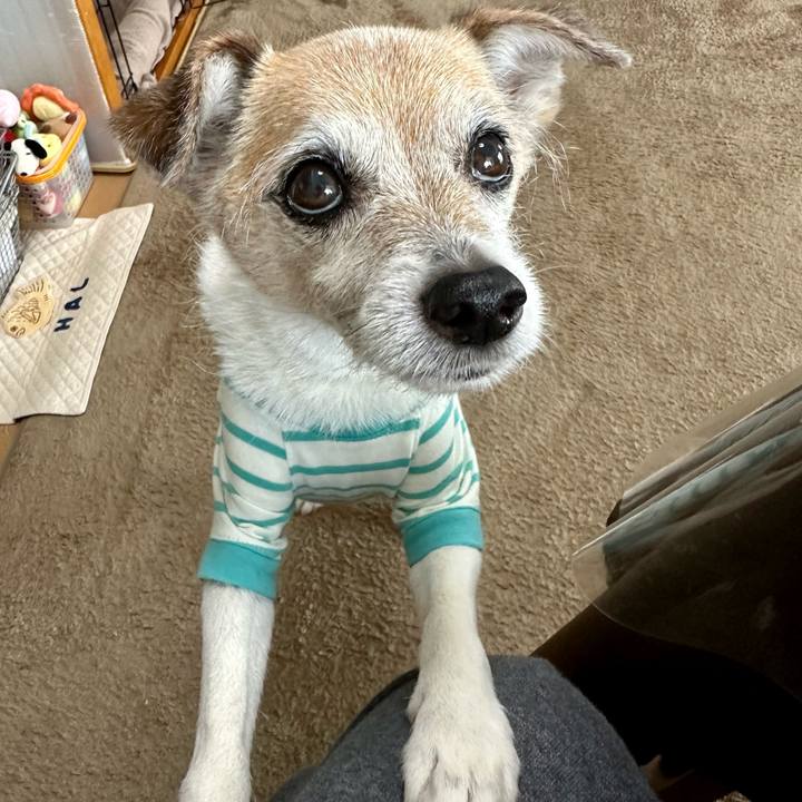 E664e0f5 4054 4b03 8dc8 e101b0d1440f 1684994470857