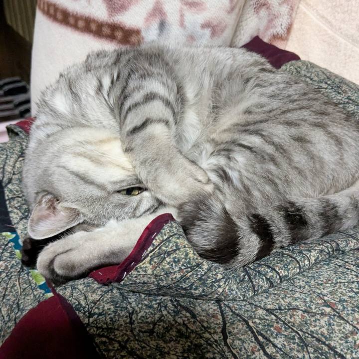 E664f2d9 4f52 4a96 9914 3d2a3ee876b4 1745505868360