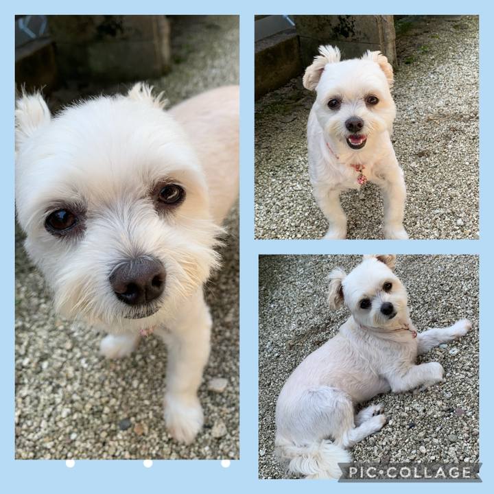 E66501e9 acbb 4916 a88f 2e371c0f0ae4 1630042093351