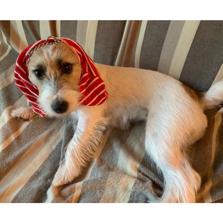 E6652930 4610 4b44 b76c 5ecd7b05fb05 1599471982115