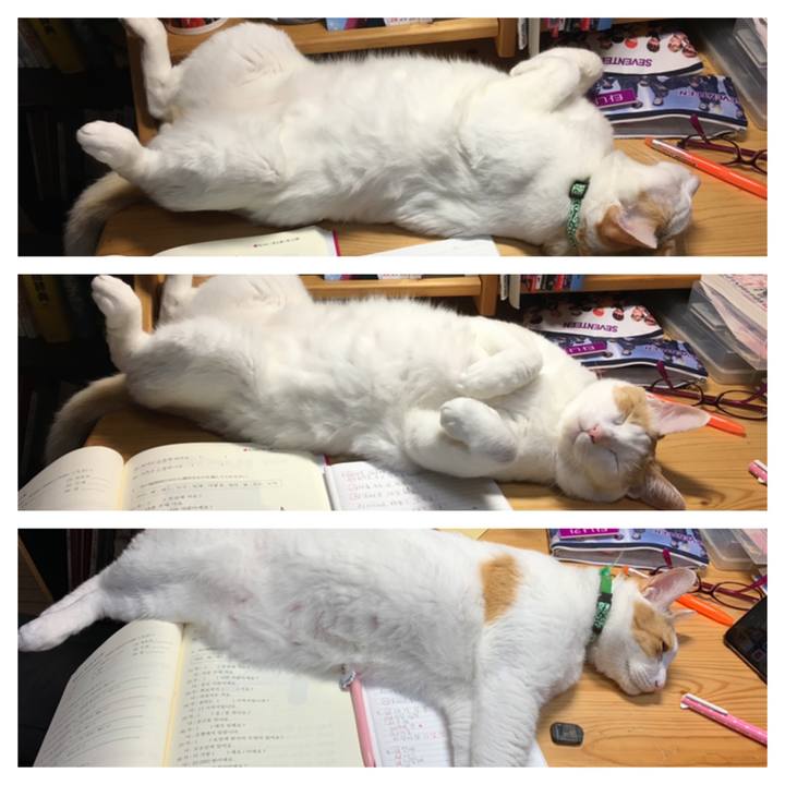 E6652963 ff37 45bb aef9 d2c2d490987e 1561904193616