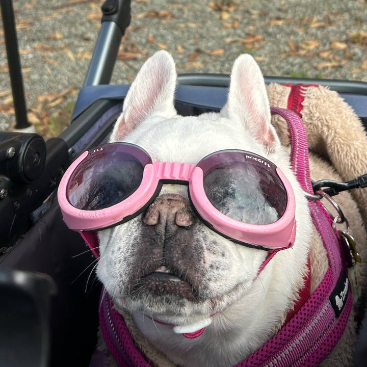 E66529b3 f172 46a5 b172 0ac0b90e0b83 1764413792608