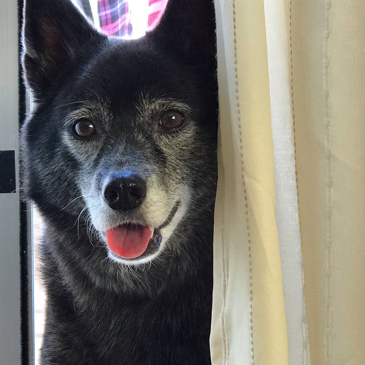 E6653e53 c878 4d75 84c9 e75c83f65e94 1541908282392