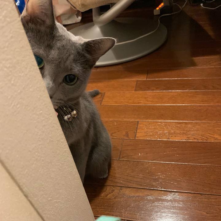 E6654de9 e715 4afd 8c64 e496570fbae4 1573446890425