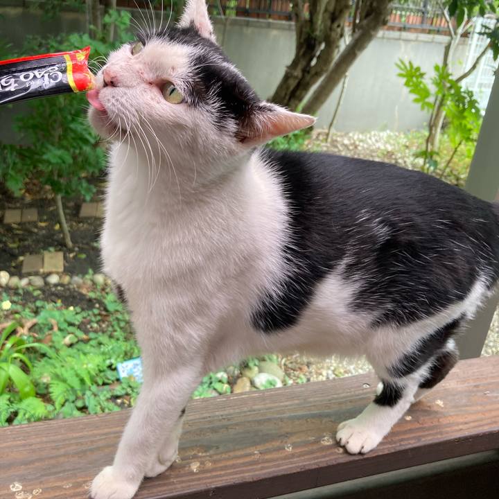 E6655d07 ffd8 4d45 b252 02dacf1a5319 1760586765841