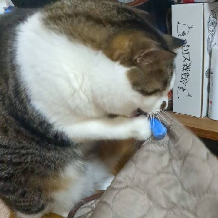 E6657397 7f79 410d 8c99 2effa0147a42 1753274333636