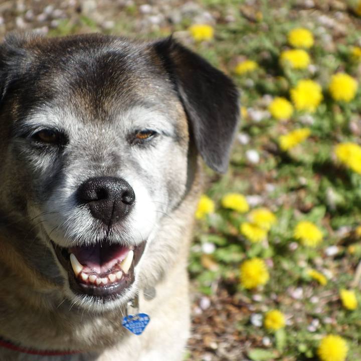 E665b5c9 c333 4466 9caf 87ddb5660af5 1744501062243