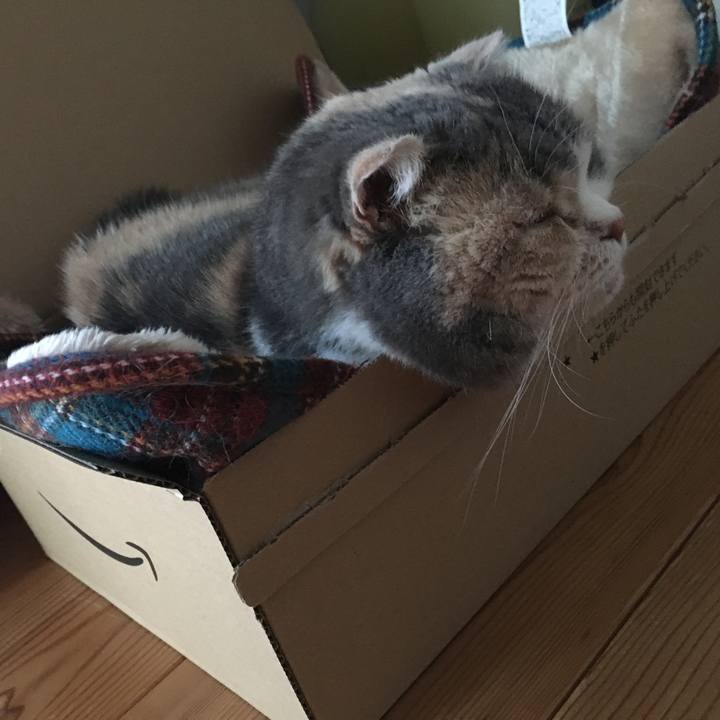 E665e107 9781 43be 81d9 ea84a65cc2e5 1553419984827