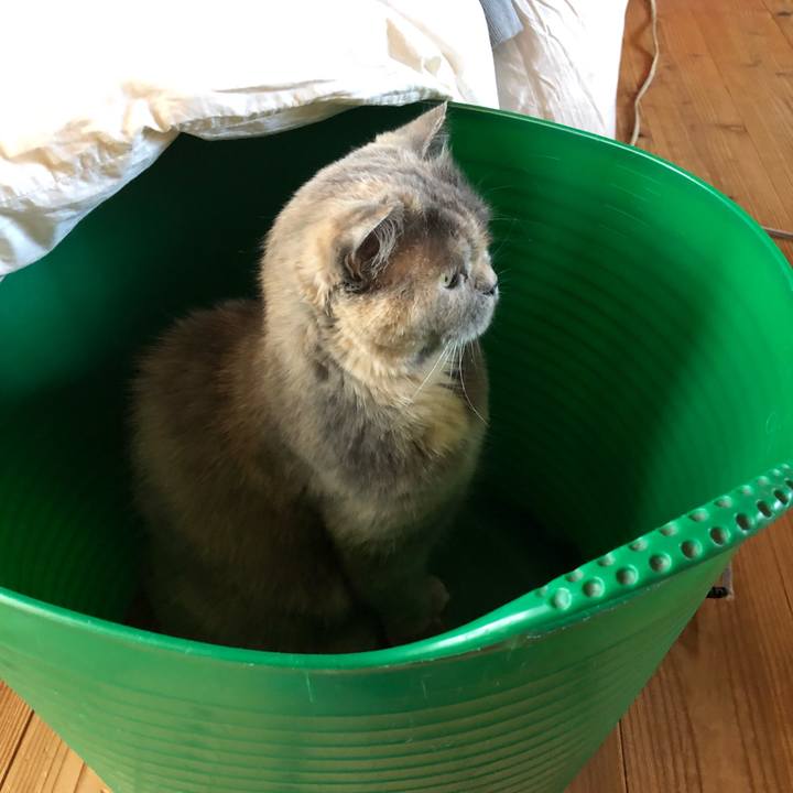 E665f034 face 4cbc 95b8 c516101fc952 1666091601916