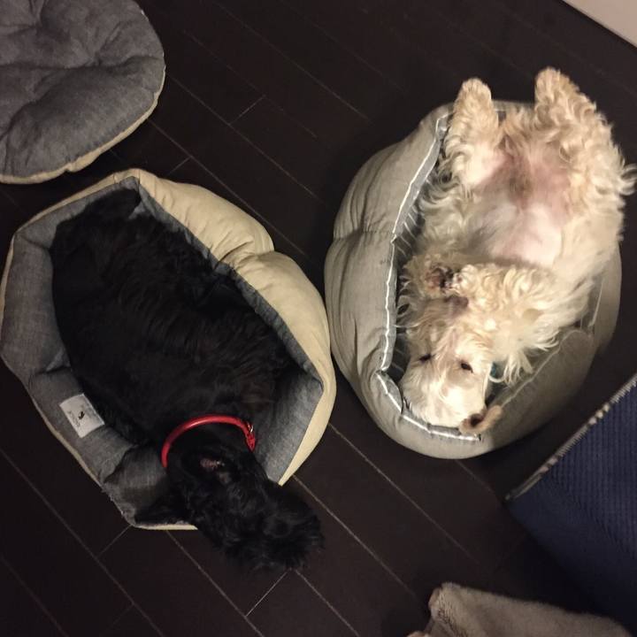 E6663168 3521 4d7a 8d75 9dcc9410623e 1512624121172