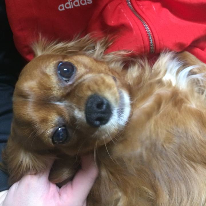 E6666292 2b4e 4983 9409 addfa814af0d 1520860447521