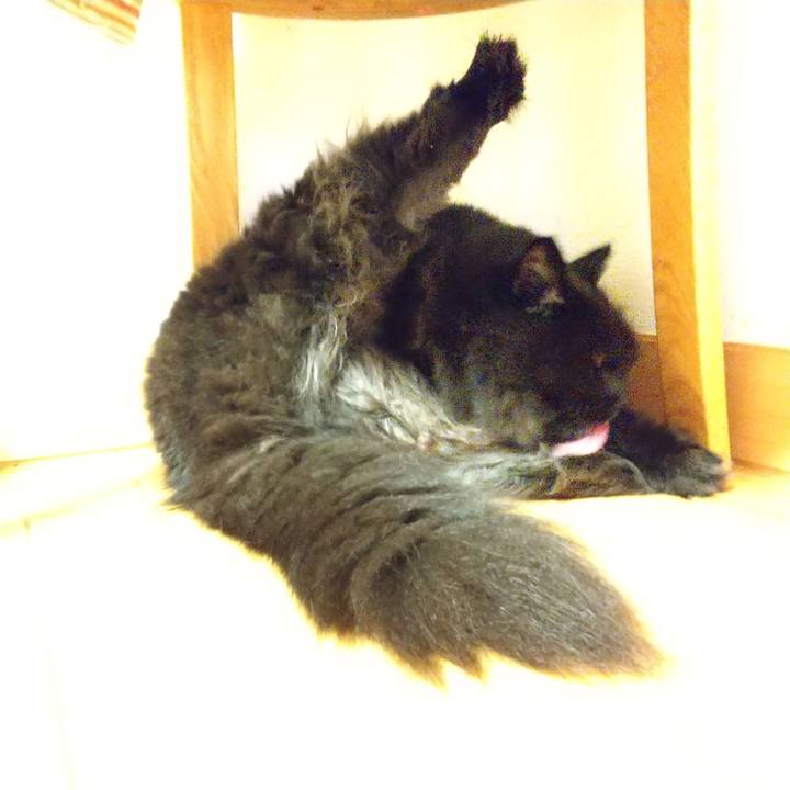 E666a350 d6d5 422f a9af 7e4559943748 1628510205690