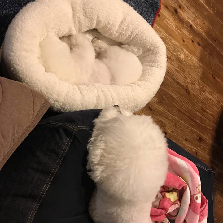 E666db85 8b52 41ed a495 c5f43a86f47d 1543305169643