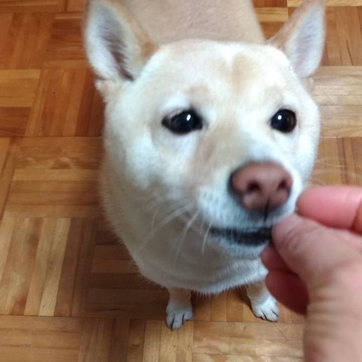 E666df89 8c87 47ec aabe 3246c891e6e2 1605738379021