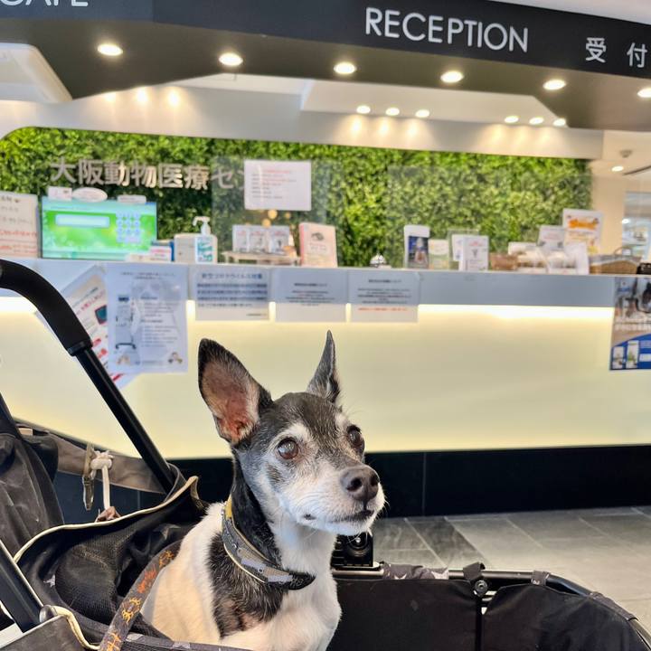 E6670b71 0663 449d 9c4c e0f42567ffef 1655630697761