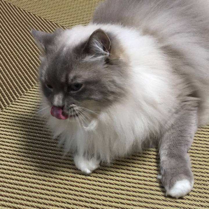 E6671946 d3cb 439f 9753 612ea63c3420 1520950861157