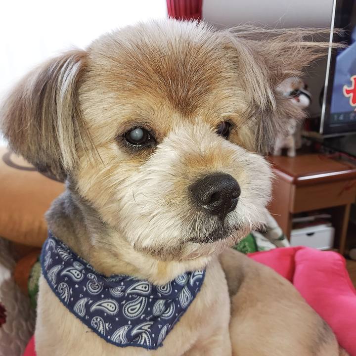 E6672c5f 8588 41bd af25 e9e5e875a4f2 1634361926470