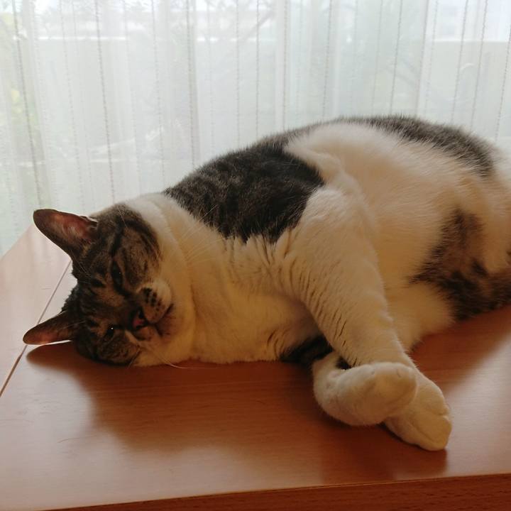 E6675d35 6026 4156 8c4a 2ef7dc021278 1537829196187