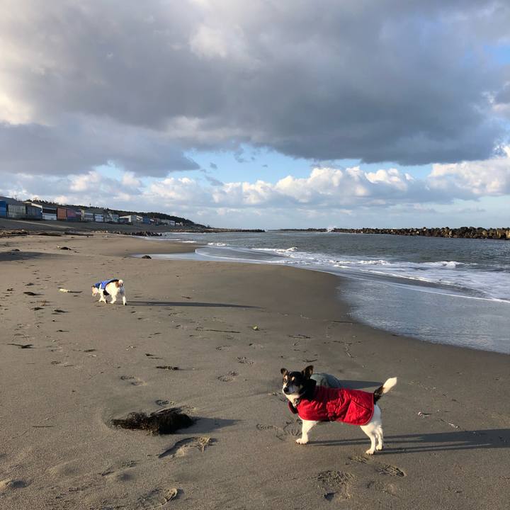 E667629a 24d5 40a4 a5fb 51619b2fbce7 1547861604449