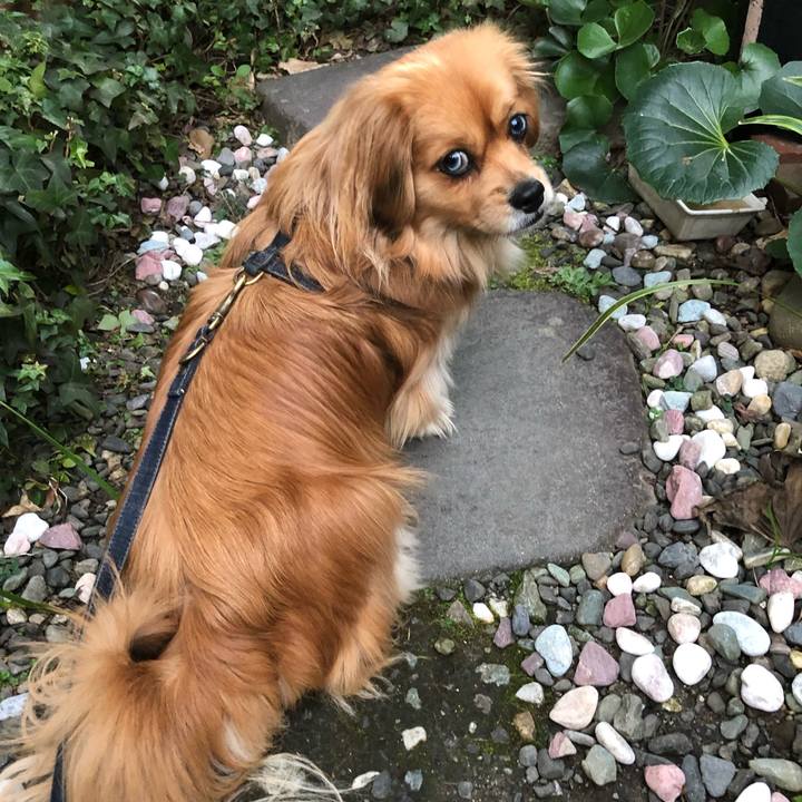 E6677a27 4340 47e8 905c 209cd17d1a60 1551994687981