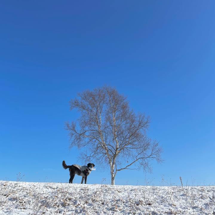 E6679b52 f00b 499d 8814 3246de67a724 1764827932934