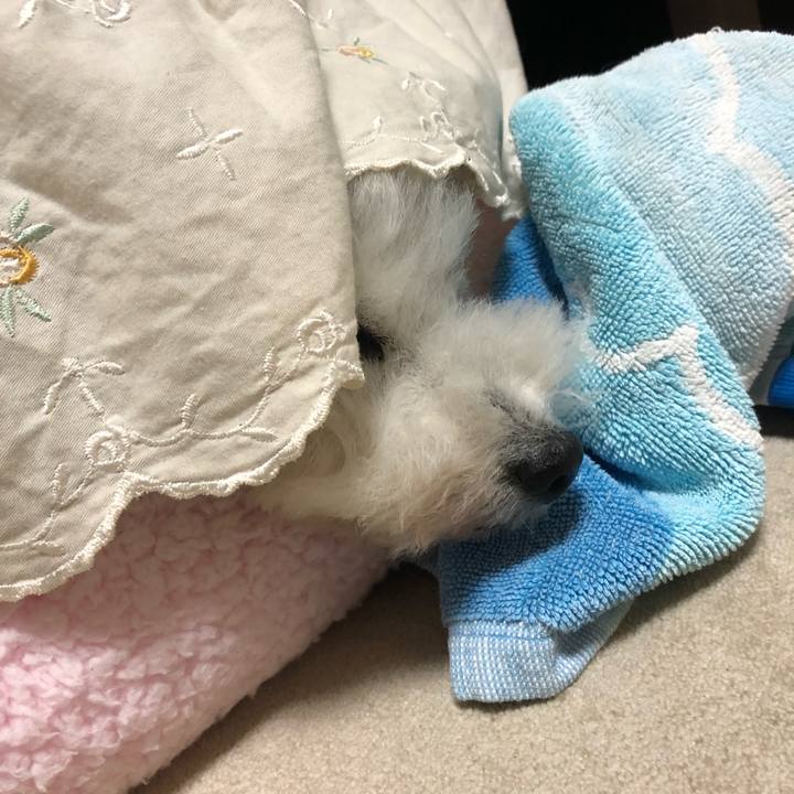 E6679bc2 b6cb 4a73 afd0 e3b365a69b63 1663837335557