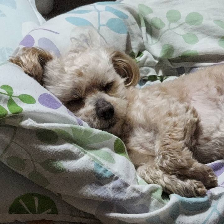 E667c098 2020 4620 8b39 d7ee3b0e1d82 1685598667415