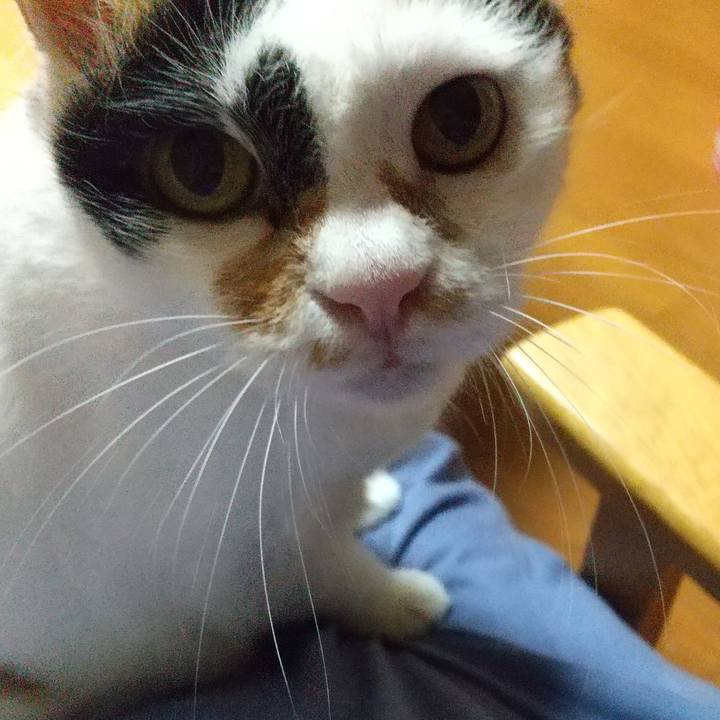 E667ea92 0edd 469c ade3 559d4a69a5fe 1663416360193