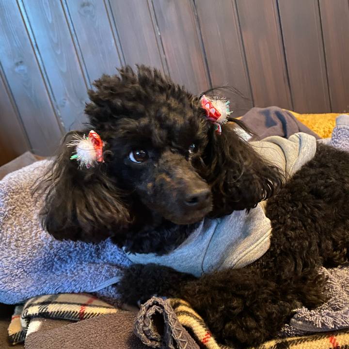 E6680239 6057 47c1 a8d4 55e1872b0f63 1610426997199