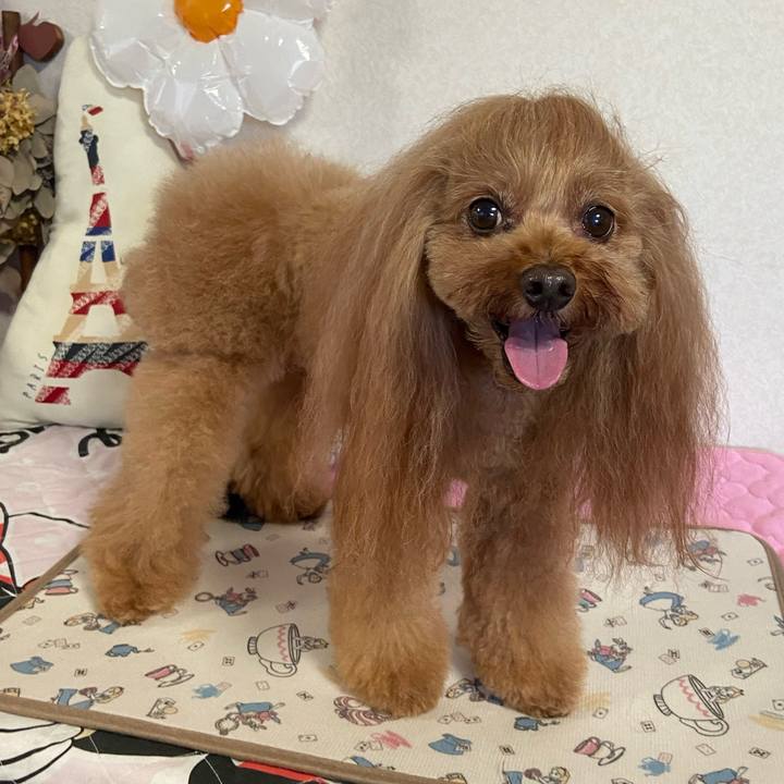 E6680560 173c 425a ae11 d9da2f213dd1 1757927012571