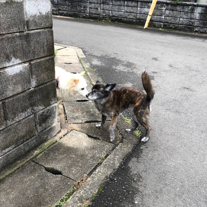 E6680aa8 0b82 4e7e 8244 a0ba2114e3b0 1685525228208