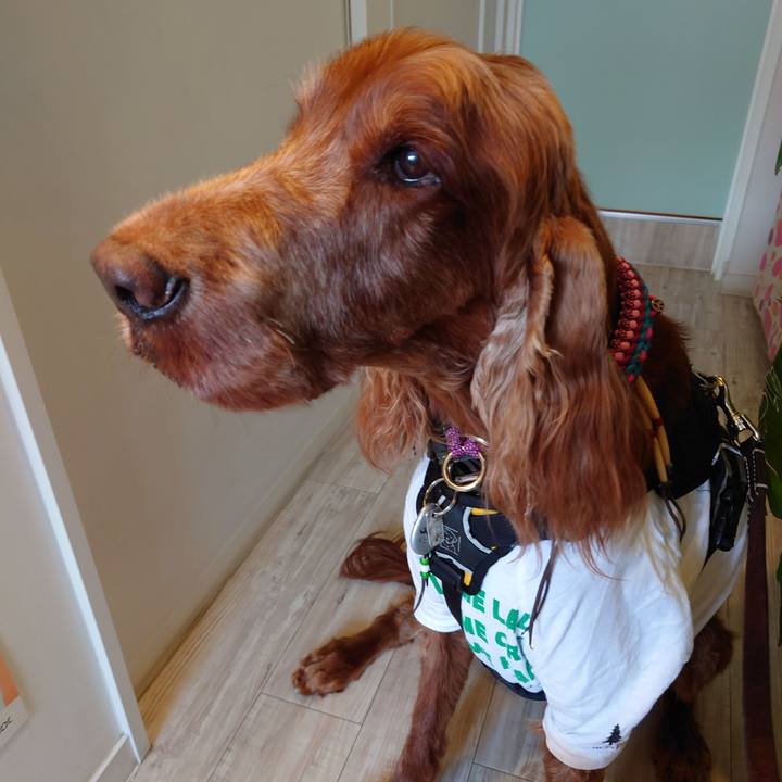 E66816f0 6b5d 446f 8851 8d6117bca2cd 1639310189720