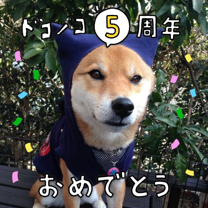 E668253d fd03 4758 82c2 422cbd02a04d 1622854383129