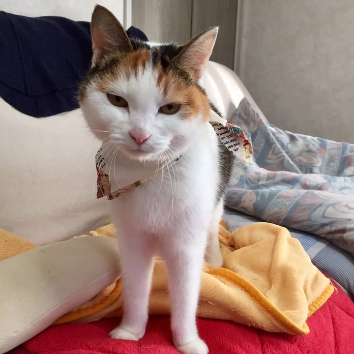 E66830b6 5fe3 490a b00a 3d2cc1604beb 1576400331714