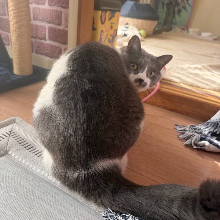 E6683471 78bf 4100 b339 b83dbed8aadc 1768278351751