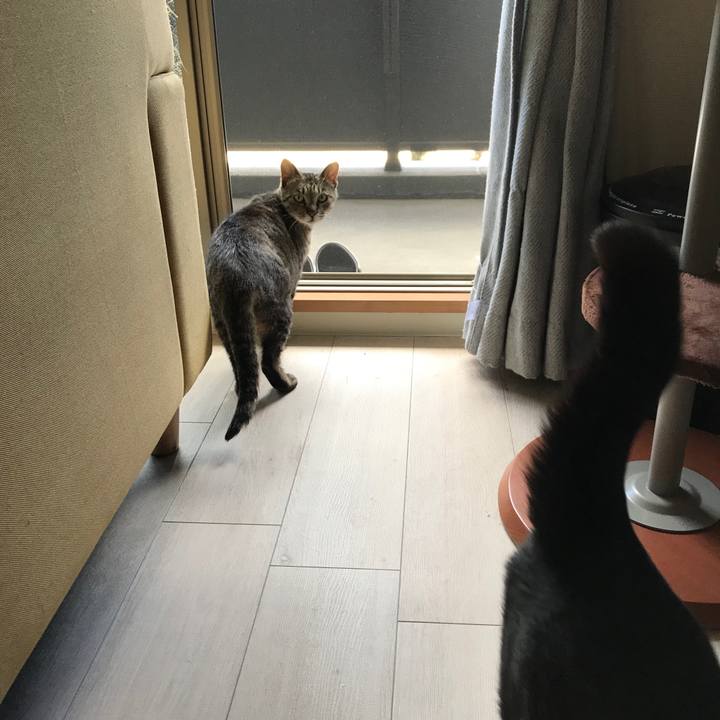 E6686bc9 4789 48fe ace9 f56cc7b24edd 1524712524223