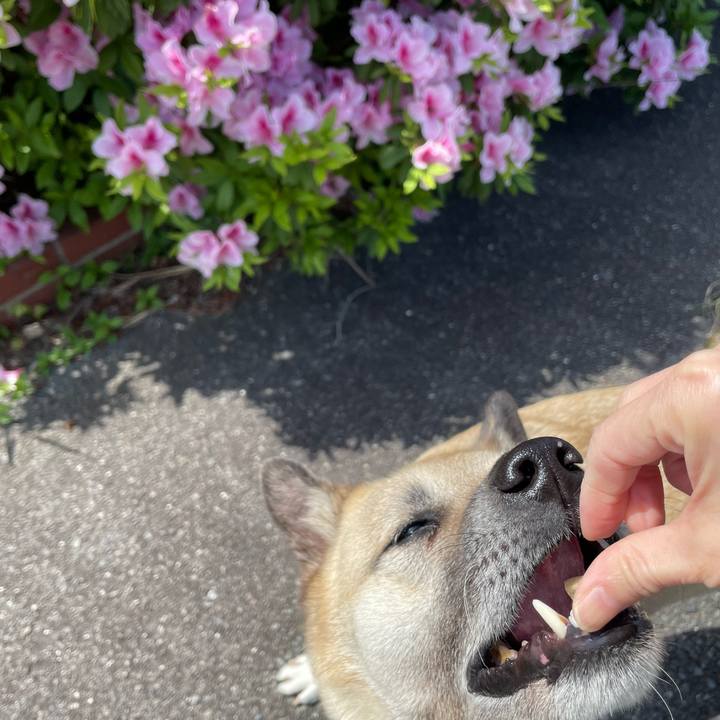 E6687bf5 4ab7 48f8 9396 0c1ce1e3d796 1682251327443