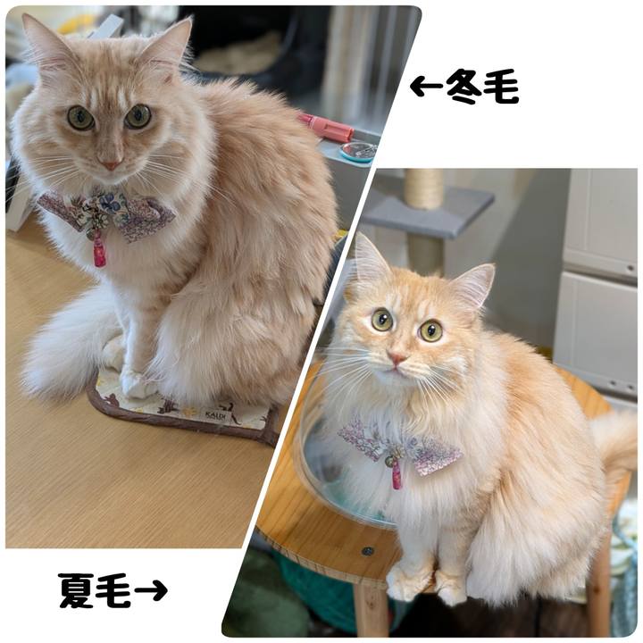 E668e360 8bba 4e38 a3b9 18d1291d6504 1766321534283