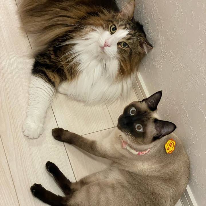 E66929bc 04ea 4093 b38d 0caee903fd4b 1718306410268