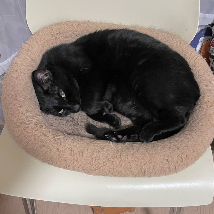 E6692c4d e02d 459d aa32 eabd1eb91abc 1681553694673