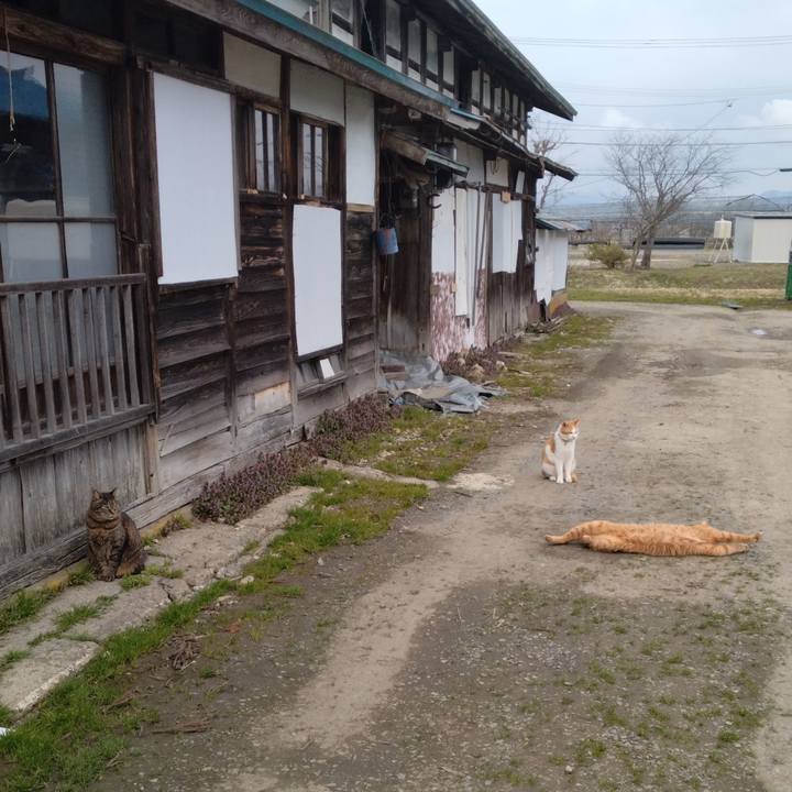 E6694c29 4c14 481b 8b94 7a9c7aa0c02b 1744267477908