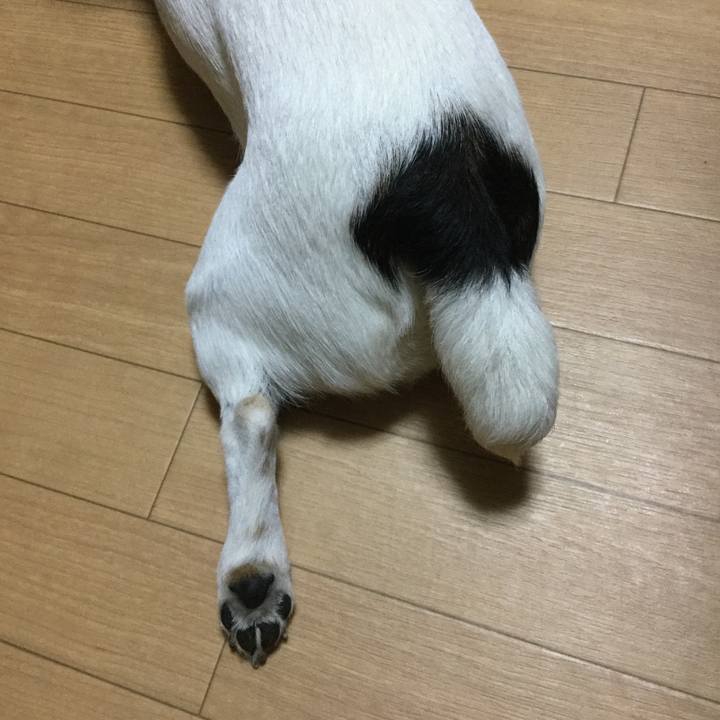 E6695bda fa88 440f 8bfc 492d5041c21b 1541747322939