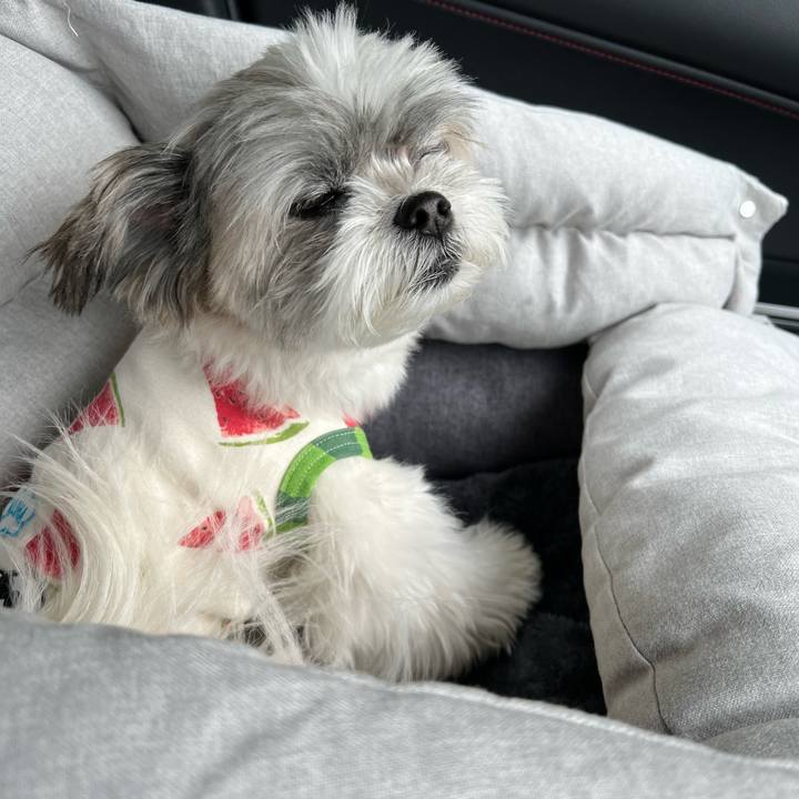 E669b141 665f 4b18 b238 72271ea914af 1688090539272