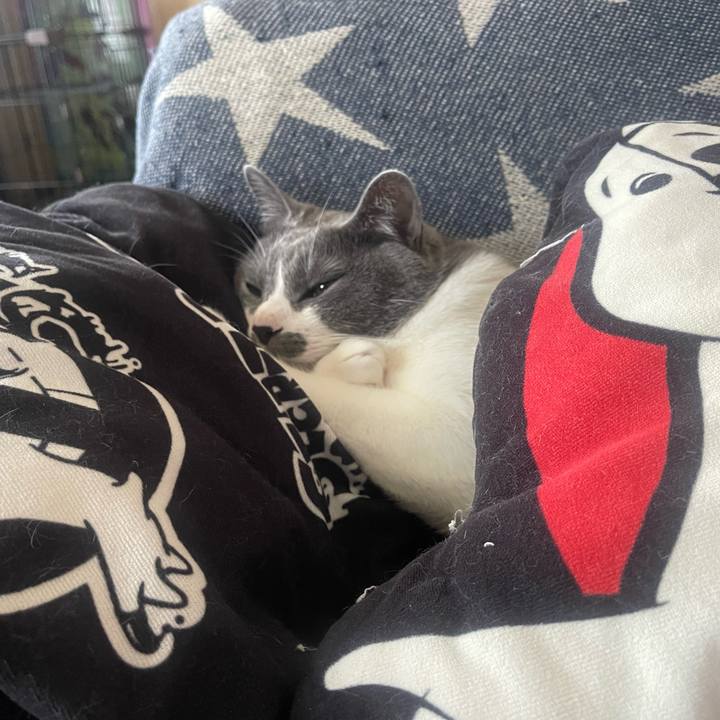 E669b1b4 9815 4275 a082 a6b2a5a20b40 1651318556707