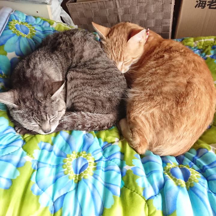 E669e04a df19 4dd4 84ed 1de63ebef99c 1560909961273