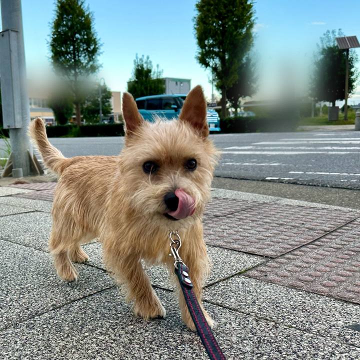 E66a09e7 4062 4b8d 8202 c6b19b39c1e4 1729432285271