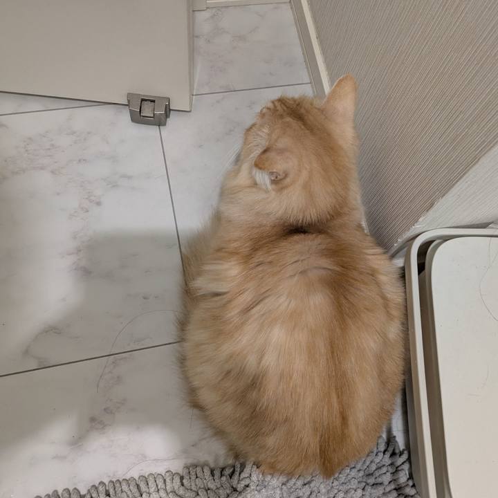 E66a2777 6687 4fe1 b75f 085999b3cda9 1734472475576