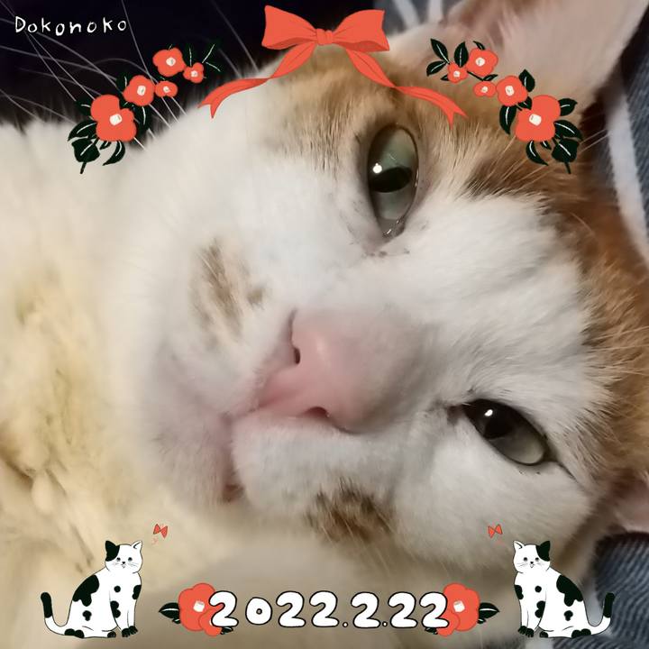 E66a80db 787c 4ee8 bf9d 92a22a1cce7e 1645540642058