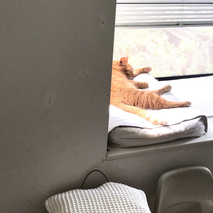 E66a8866 2b82 4b71 bd4d 2ca4a815058d 1596957713940